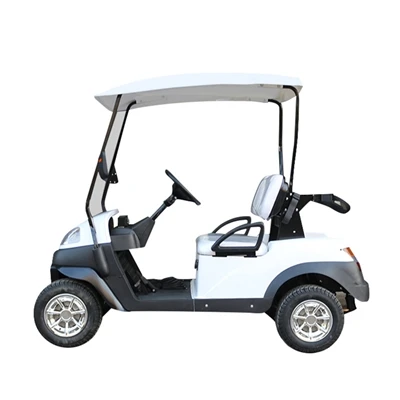 Maintenance of electric golf carts