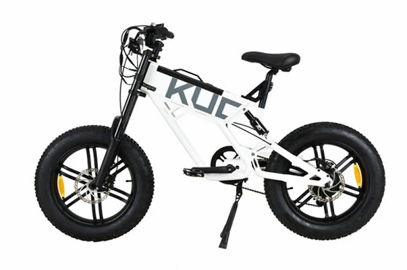 product-800-531 product-800-531
