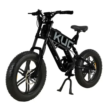 Do electric bikes have lights?